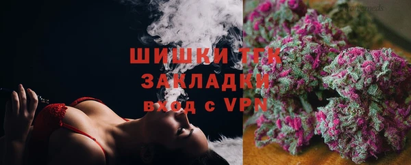 гидра Волоколамск