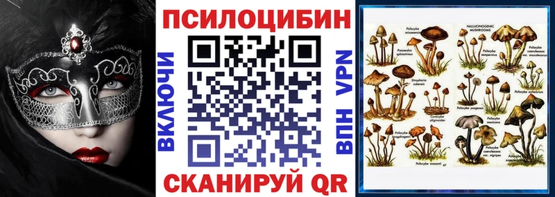 Галлюциногенные грибы мухоморы купить наркоту Улан-Удэ